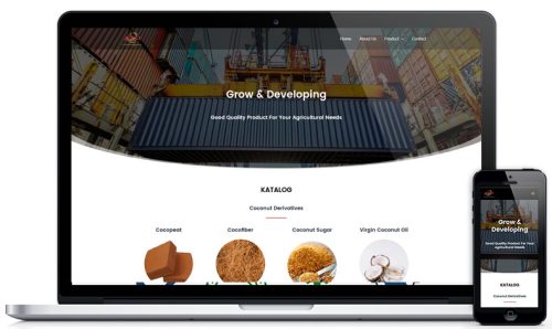 Portofolio Pembuatan Website