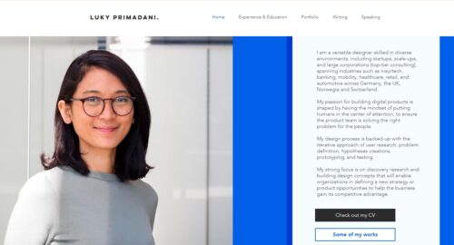 Contoh Website Portofolio